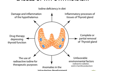 What Causes Thyroid Problems?